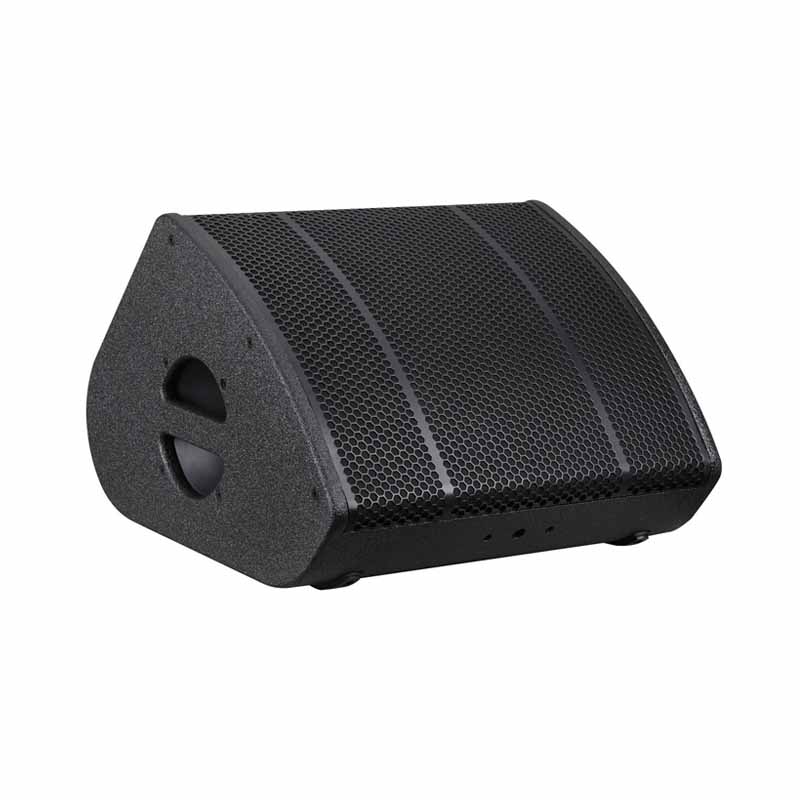 Loa monitor liền công suất RGG X12-P