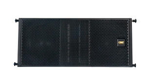 Loa Line Array CAVS MLD10